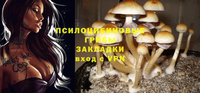 ссылка на мегу ТОР  Бобров  Галлюциногенные грибы Psilocybe 